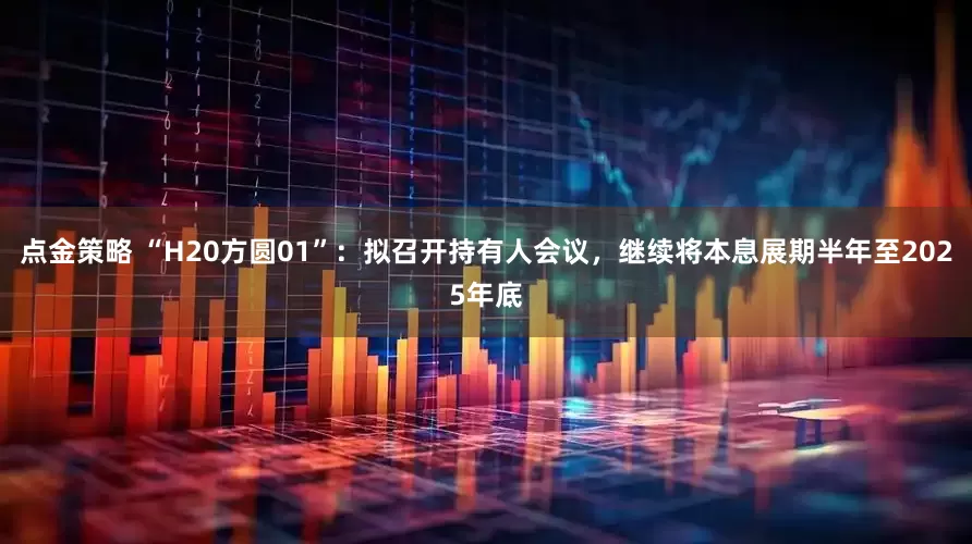点金策略 “H20方圆01”：拟召开持有人会议，继续将本息展期半年至2025年底