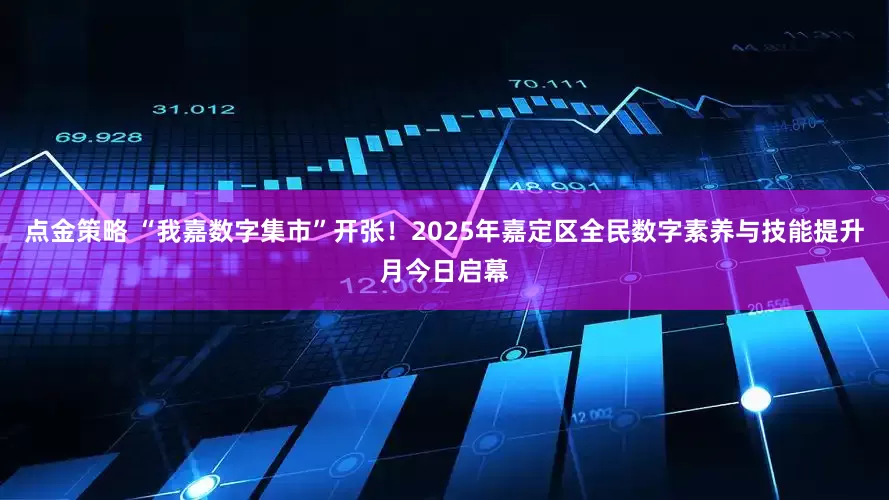 点金策略 “我嘉数字集市”开张！2025年嘉定区全民数字素养与技能提升月今日启幕